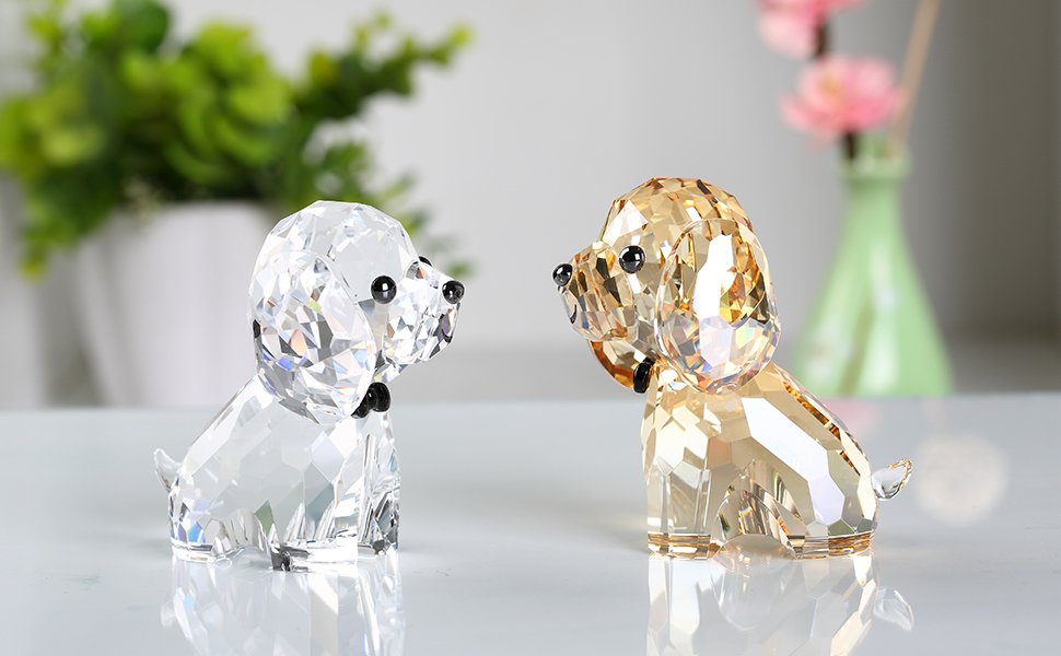 Transparent and Gold