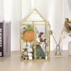 Decor 2 Tier Clear Glass Storage Box, Gold Mirrored Jewelry Makeup Display Organizer Case, Decorative Tower box Storage for Trinket Perfume Lipstick Figure Statue Toy Display, House Shape