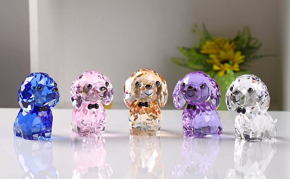 5 colors to choose from